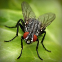 /album/supramegapedia-com/photolia-a01-jpg/