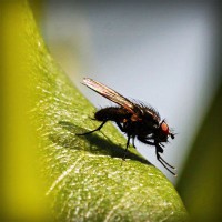 /album/supramegapedia-com/photolia-a04-jpg/