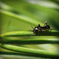 /album/supramegapedia-com/photolia-a05-jpg/