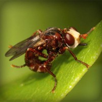 /album/supramegapedia-com/photolia-a06-jpg/