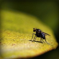 /album/supramegapedia-com/photolia-a07-jpg/